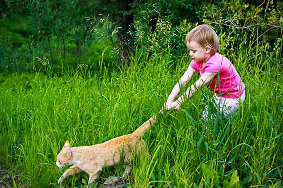 wordless-wednesday-toddler-cat