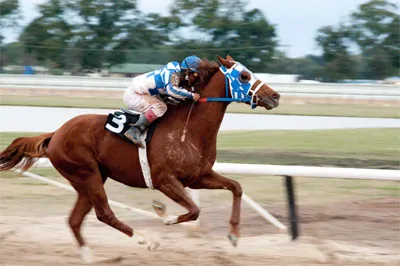 Secretariat Runs Again!