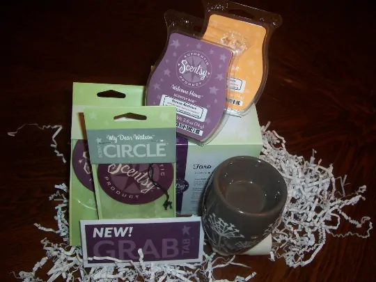 Scentsy Kit