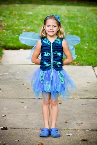 Butterfly beauty costume