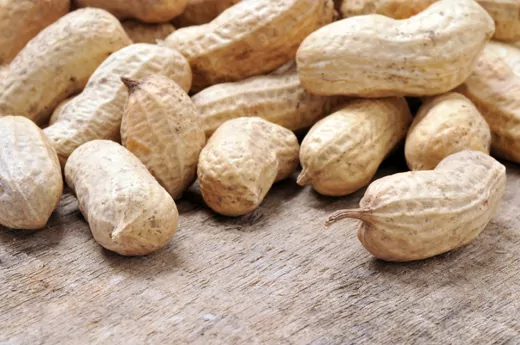 Smart Snacking Ideas from America’s Peanut Farmers