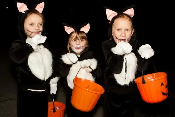 Our Halloween Photos – Three Black Cats and One Zombie