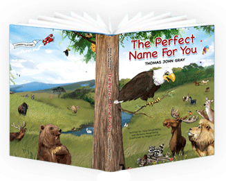 The Perfect Name for You {review and giveaway}