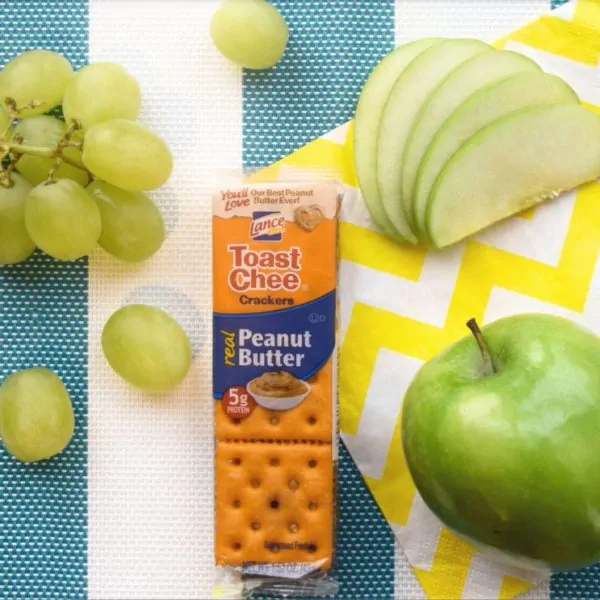 Wholesome Snacks for Your On-the-Go Kids