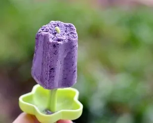 Creamy Blueberry Coconut Popsicles