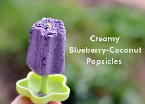 blueberry coconut popsicles