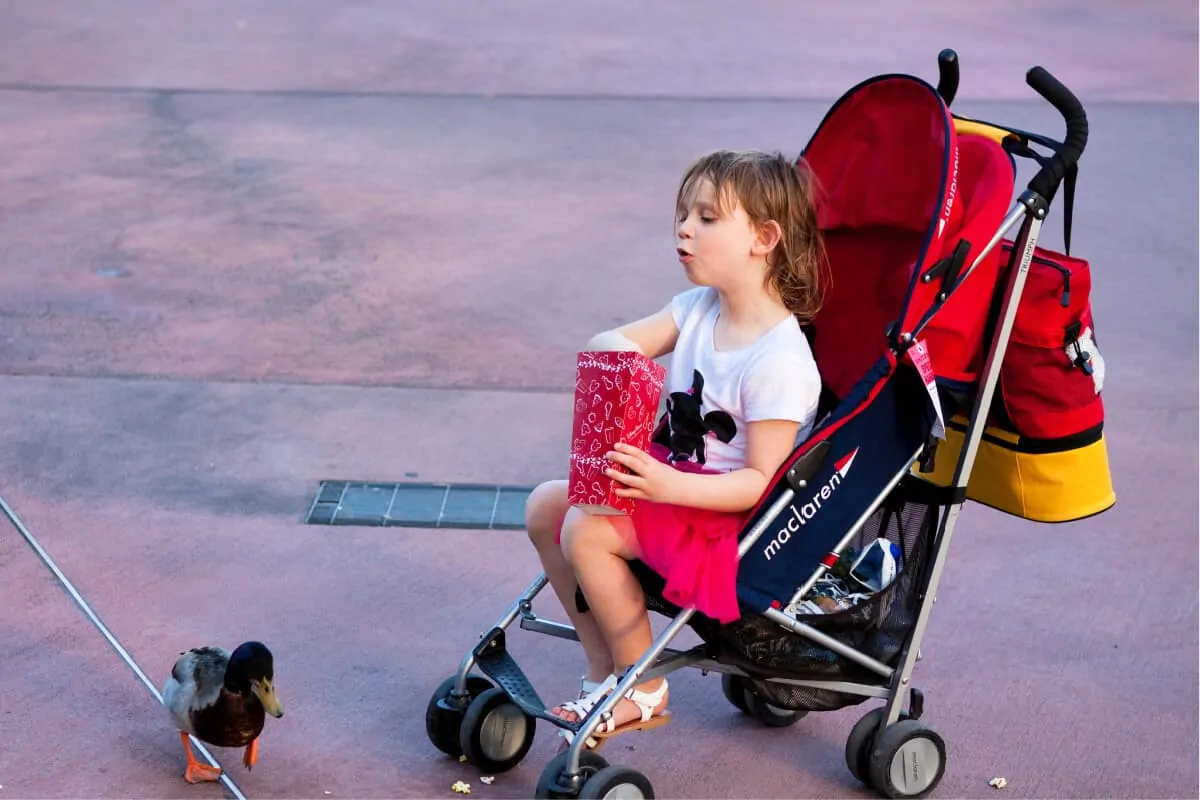 Avoid Tantrums at Disney World - Bring a Stroller