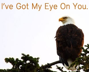 Pin It Friday – I’ve Got My Eye On You