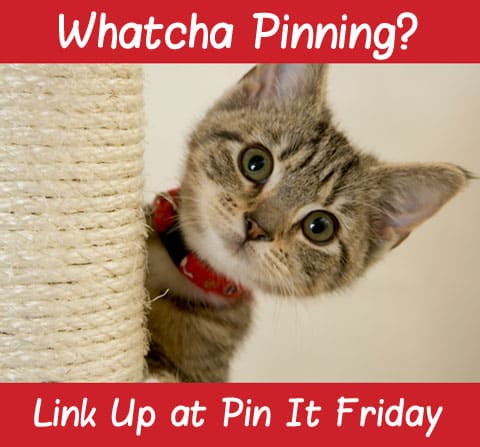 Pin It Friday – Add Your Favorite Pins