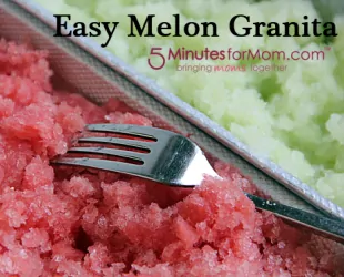 Easy Melon Granita