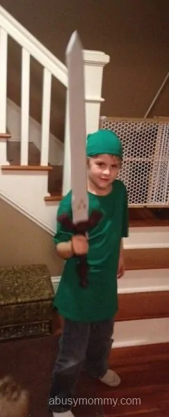 The Legend Of Zelda Halloween Costume