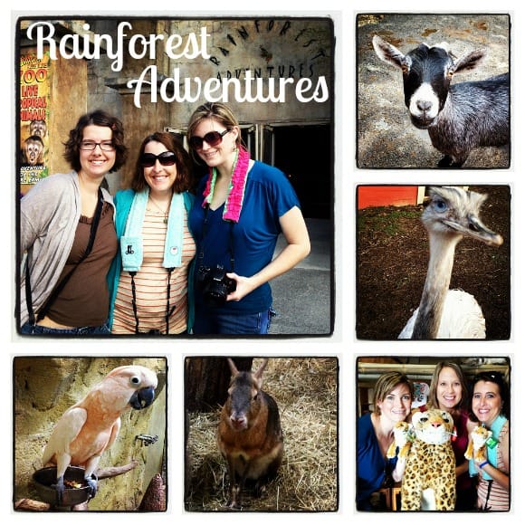 Rainforest Adventures TN Rainforest Adventures TN