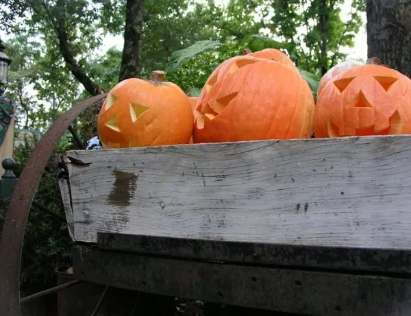 Make the Spookiest Halloween Decorations on the Block