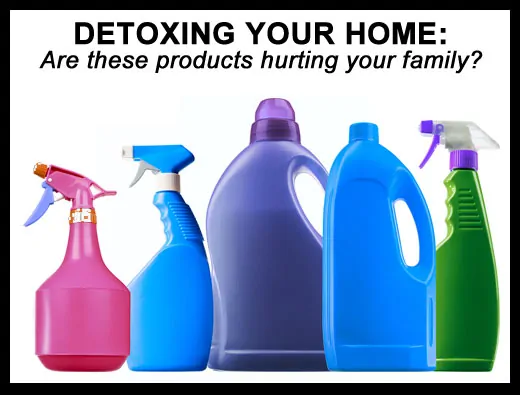 4 Simple Tips to Detox Your Home