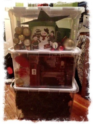 Organizing Christmas Decorations