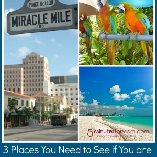 3 Places You Need to See in Miami