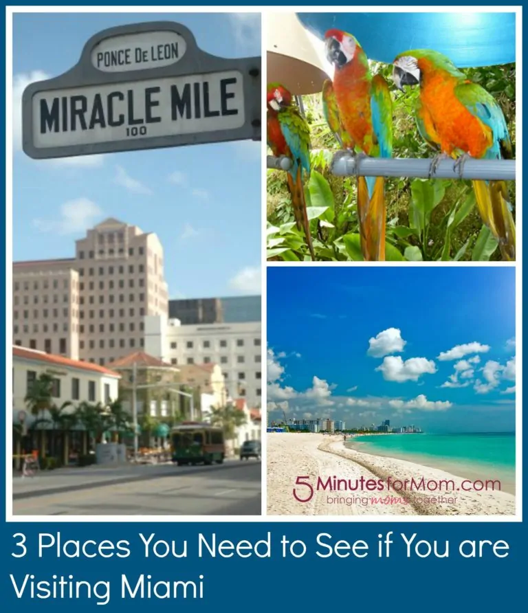 3 Places You Need to See in Miami
