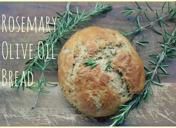 Rosemary Olive Oil Bread Recipe