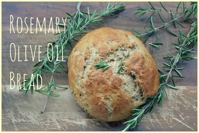 Rosemary Olive Oil Bread Recipe