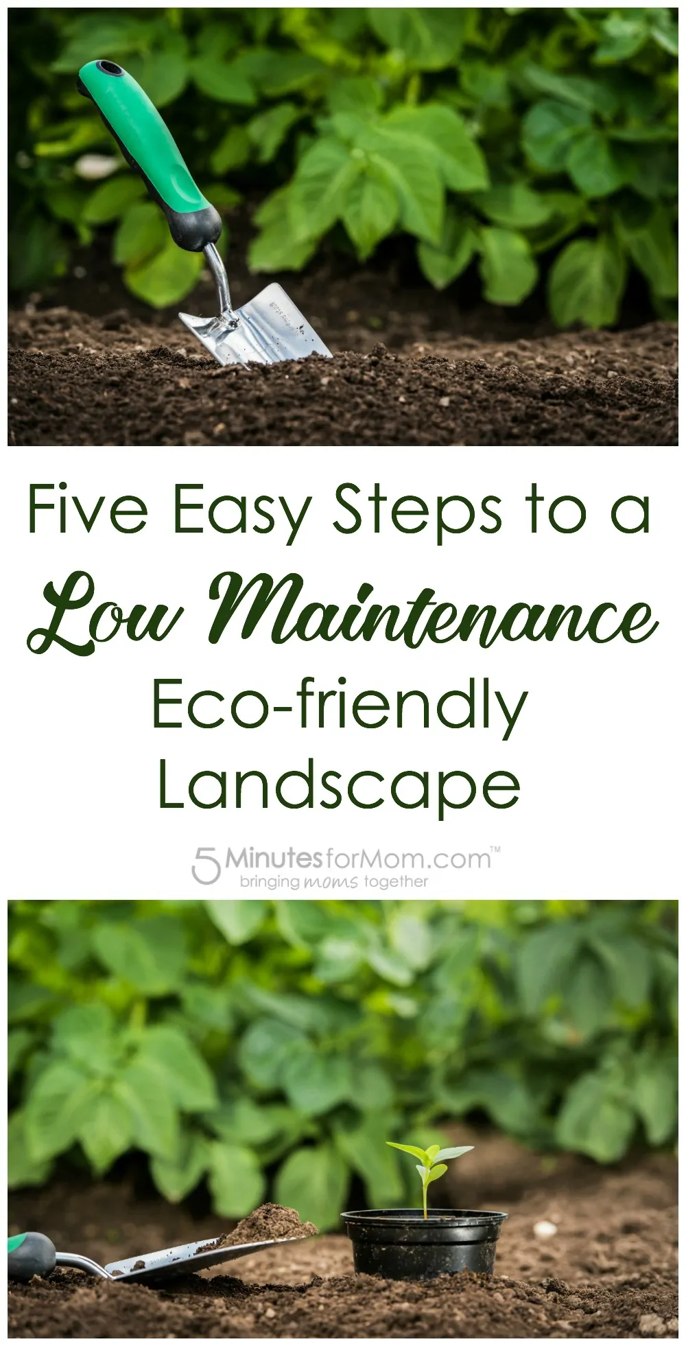 Five Easy Steps to a Low Maintenance Eco-friendly Landscape - Gardening Tips