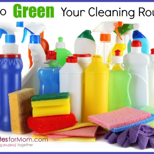 Greening Up Your Cleaning Routine