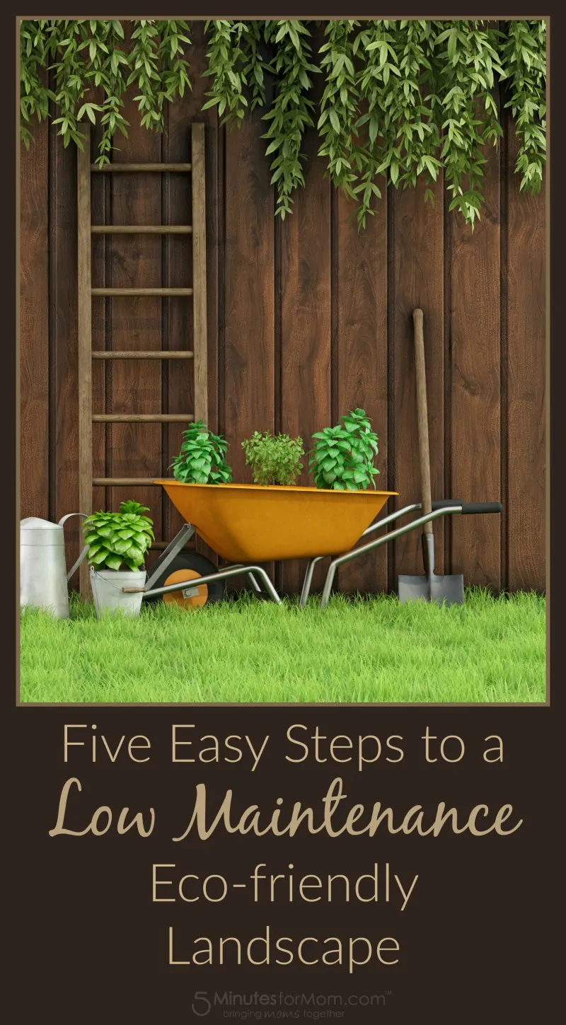 Gardening Tips - Five Easy Steps to a Low Maintenance Eco-friendly Landscape