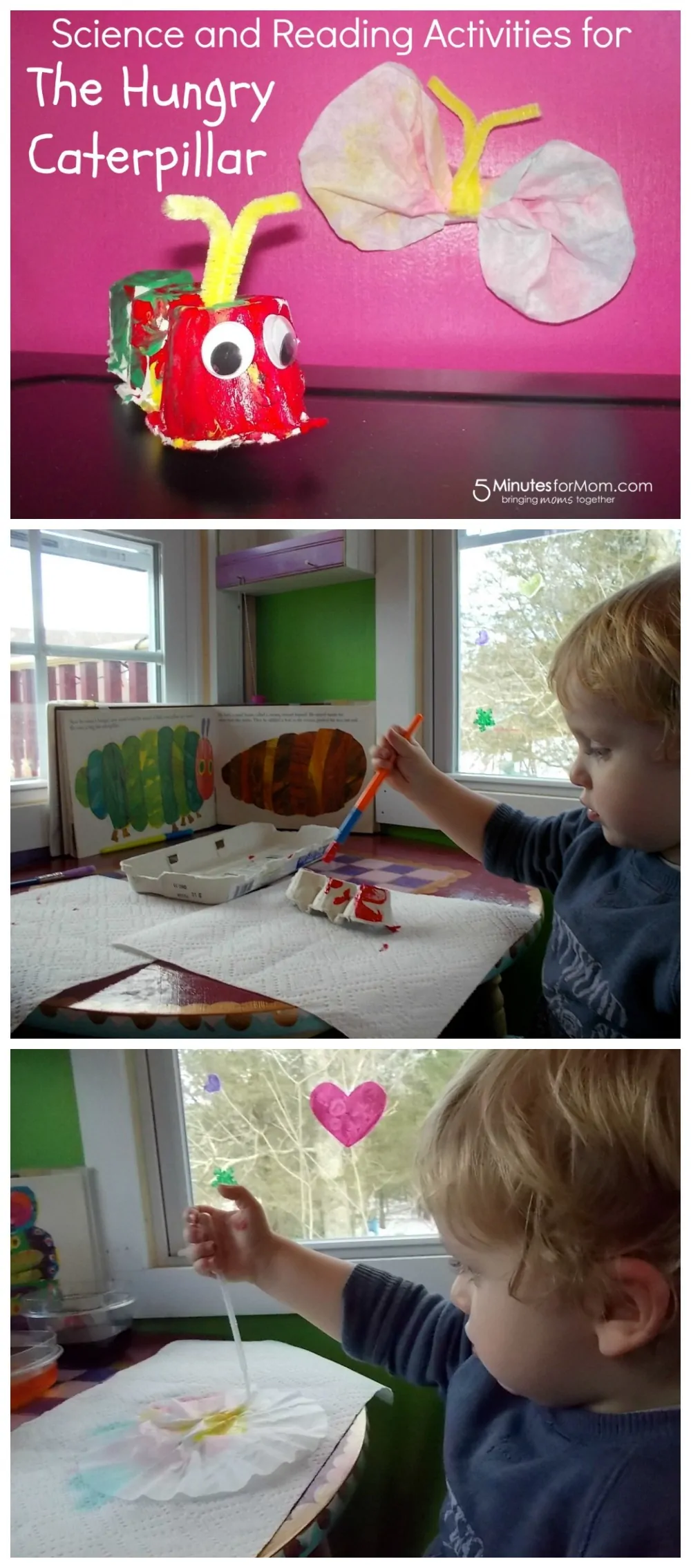 Science and Reading Activities for The Hungry Caterpillar