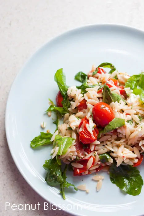 Lemony Orzo, Roasted Tomato & Arugula Salad