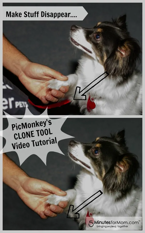 PicMonkey Tutorial - Clone Tool