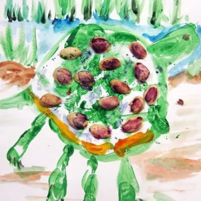 paint a turtle