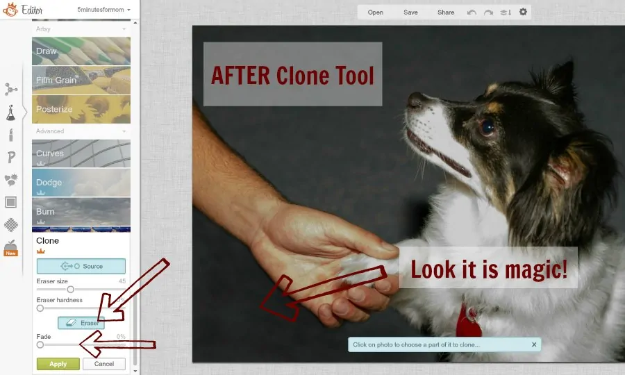 picmonkey-clone-tool-tutorial