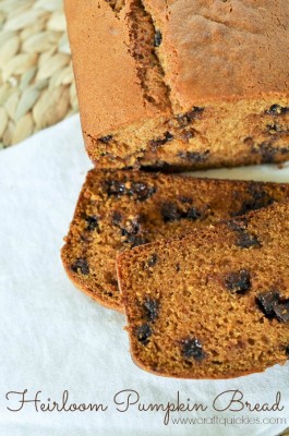 Heirloom Pumpkin Chocolate Chip Bread from Craft Quickies