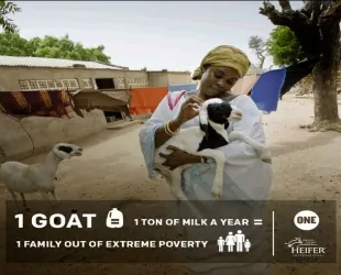 ONE Goat for Hope – #GiveAGoat