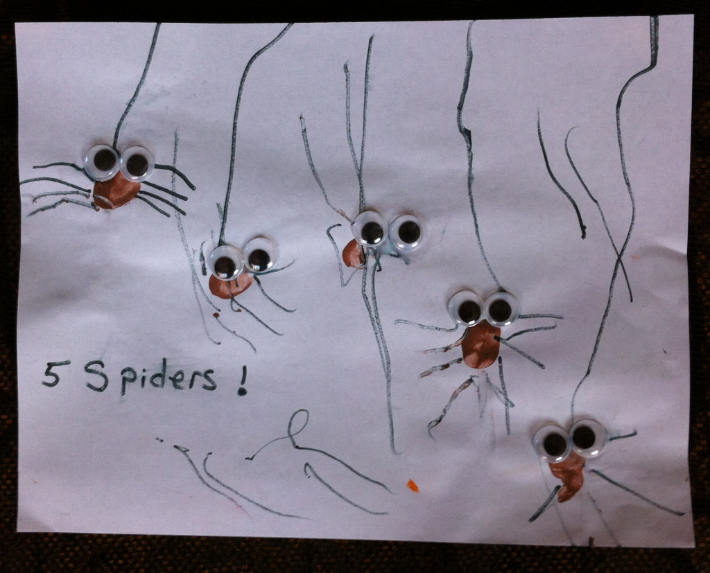 Spiders Everywhere