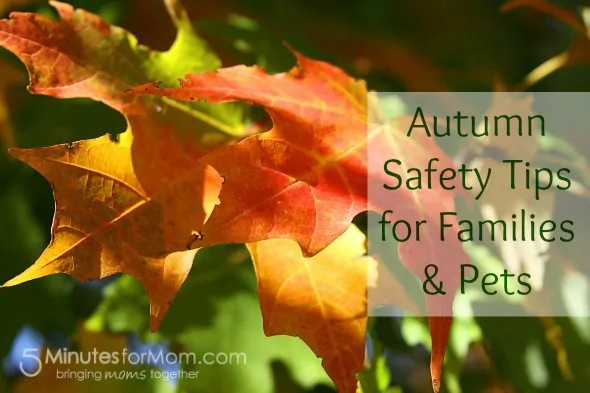 autumn safety tips for families and pets