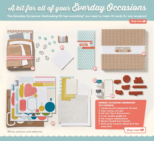 Everyday Occasions Stampin Up Kit