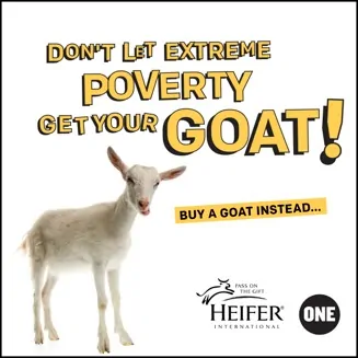 one-getyourgoat