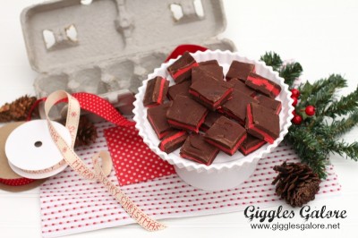 5Peppermint-Fudge-Christmas-Gift