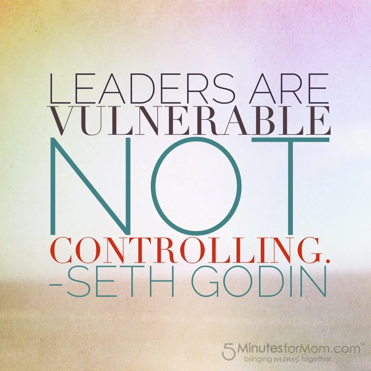 Seth Godin Quote