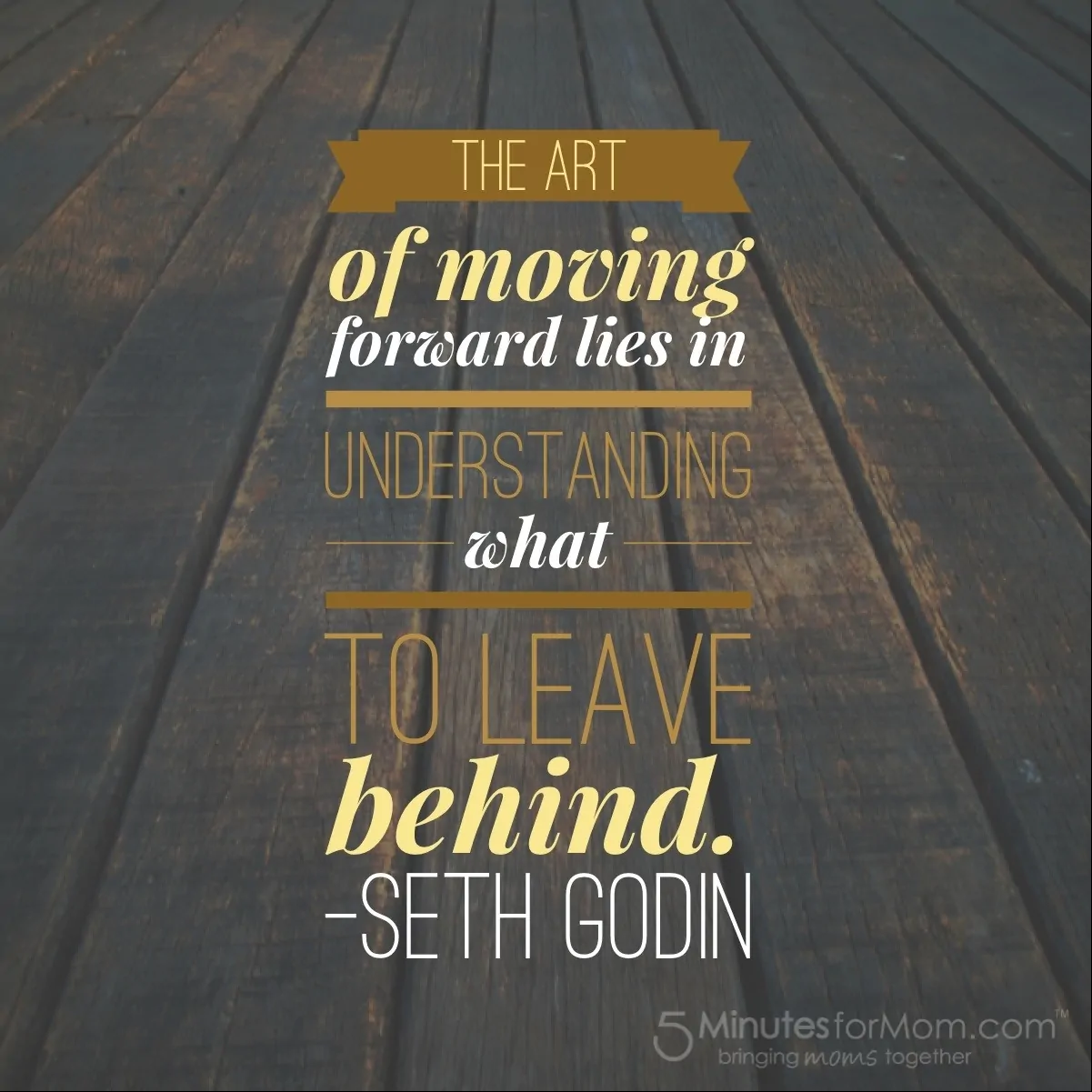 Seth Godin Quote