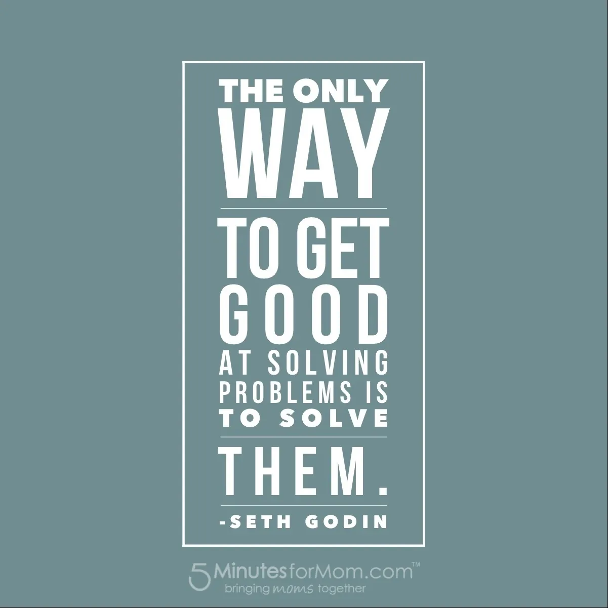 Seth Godin Quote