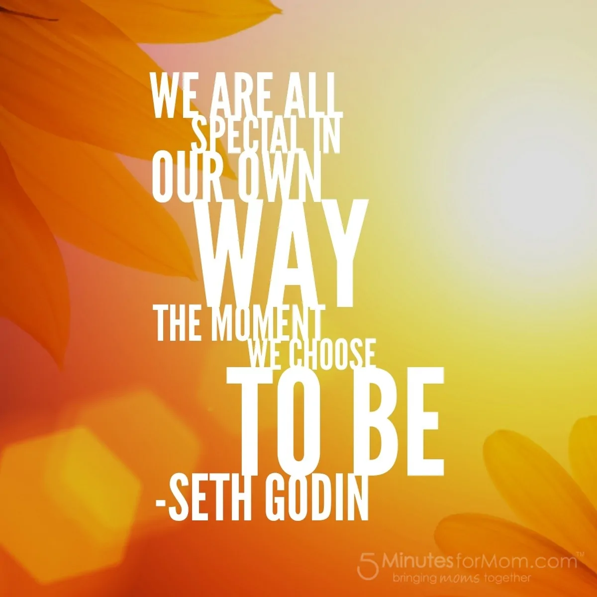 Seth Godin Quote