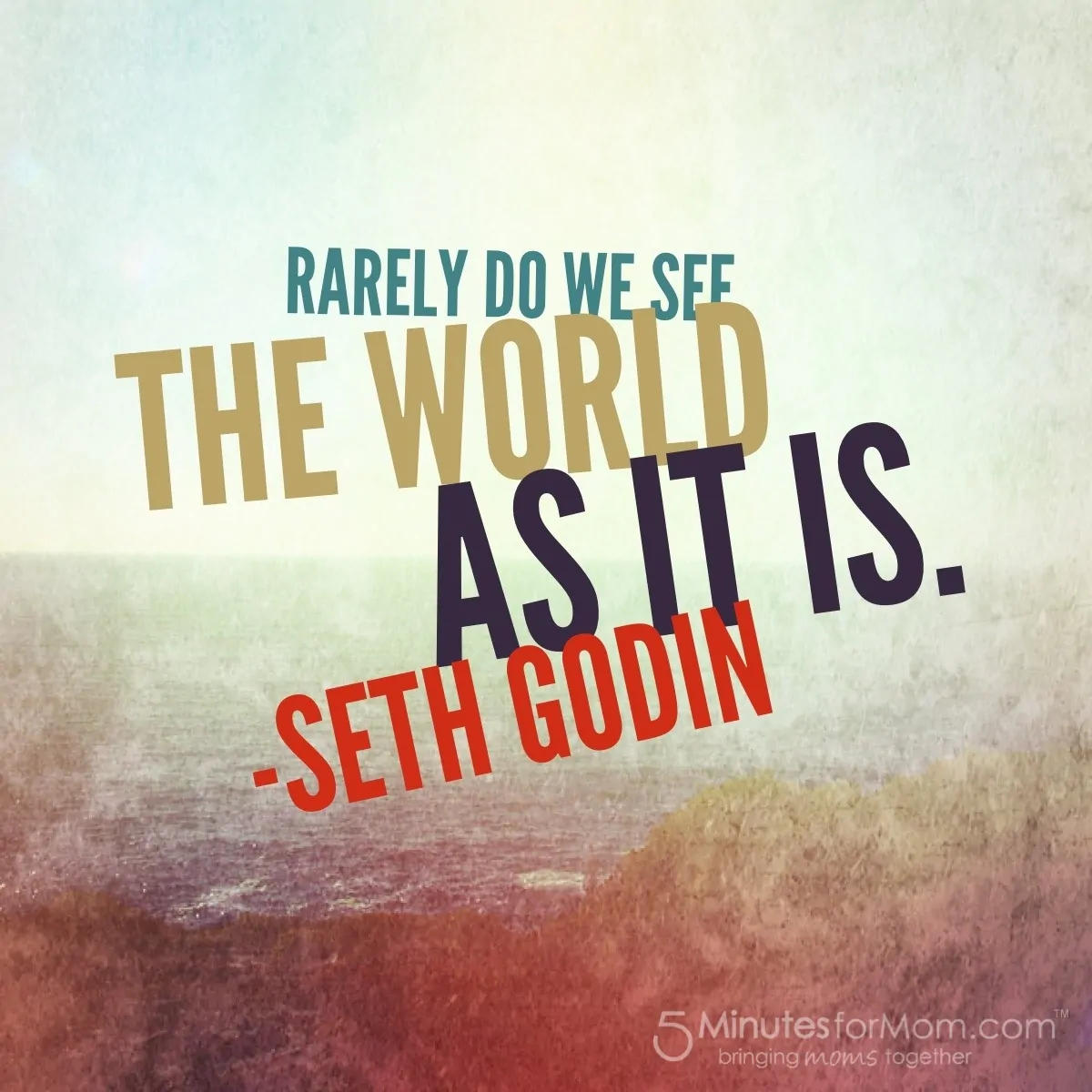 Seth Godin Quote