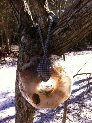 Homemade bird feeder