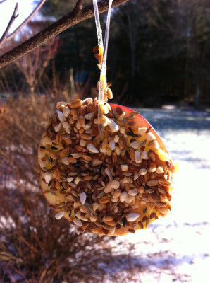 Homemade bird feeder