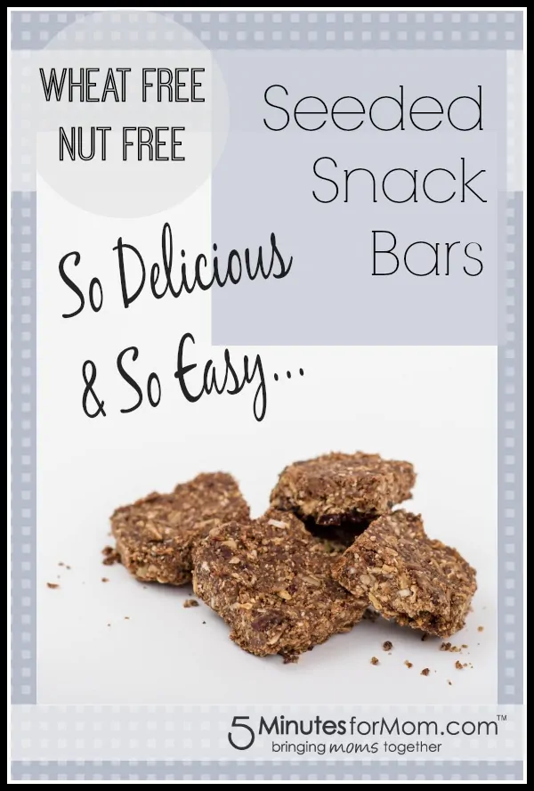 Easy-Nut-Free-Seeded-Snack-Bars