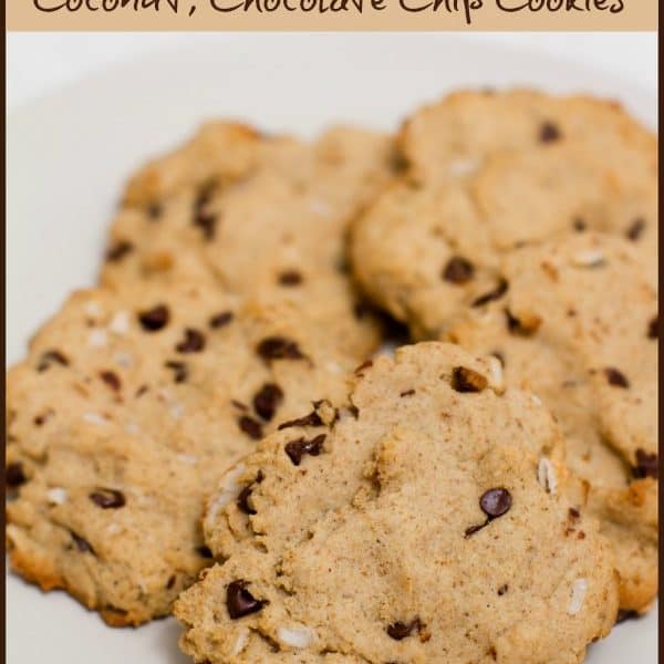 Gluten Free Coconut Chocolate Chip Cookies Recipe