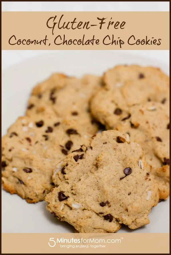 gluten-free-coconut-chocolate-chip-cookies