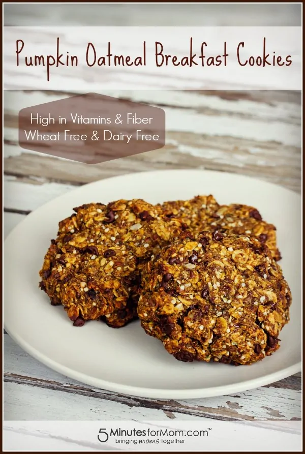 healthy-pumpkin-oatmeal-breakfast-cookie