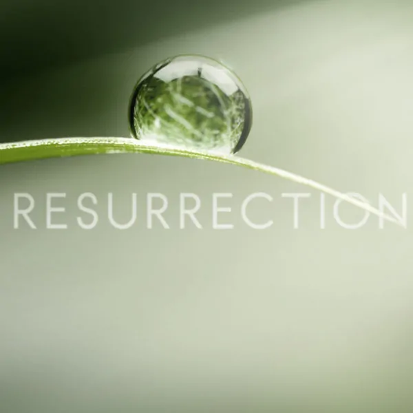 Did I Really Die? New ABC TV Show “Resurrection” Has People Asking #ABCTVEVENT